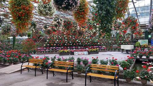 旅行プランのサムネイル