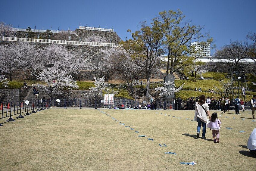 travel image