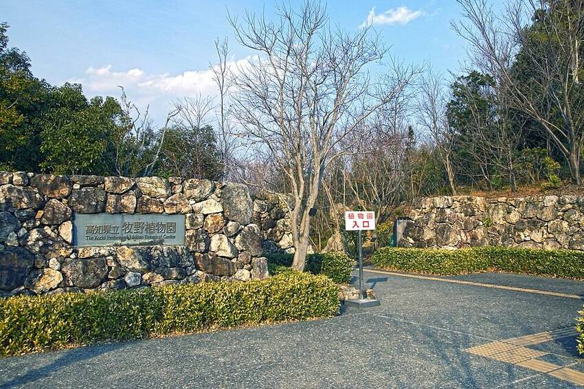 高知県立牧野植物園