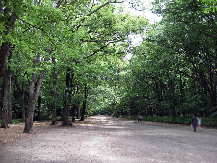 travel image