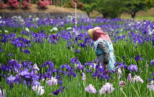 旅行プランのサムネイル