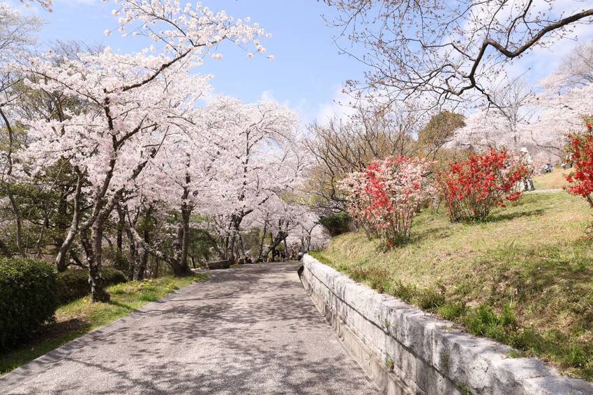 旅行プランのサムネイル